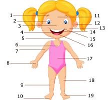 Learning body parts