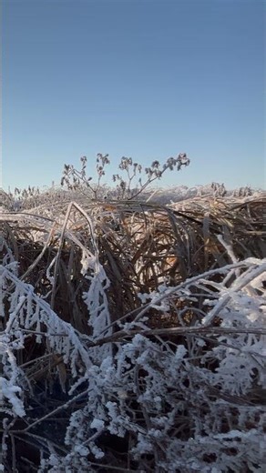 You found the most beautiful place on Earth this winter 🏔️✨
