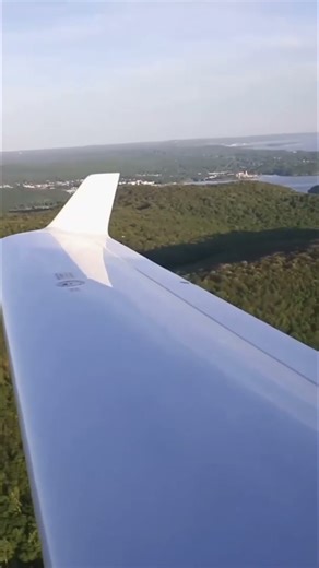 Pilot's Epic Flight: Cockpit Views & Runway Landing! #shorts