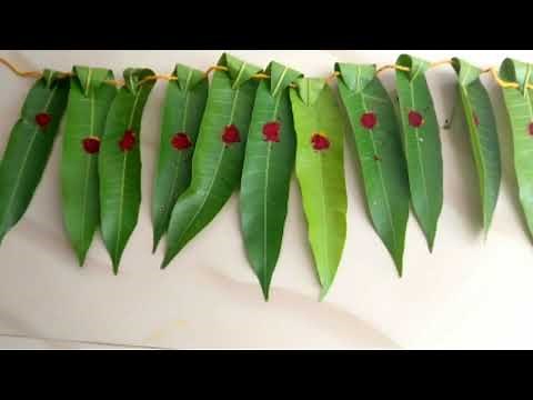 Simple and easy maavilai thoranam for festival /how to make Maavilai thoranam at home?| Thoranam