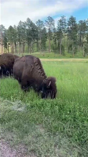 Cheyenne Wyoming, Where Scenic Beauty Meets Everyday Living, REMAX Capitol Properties