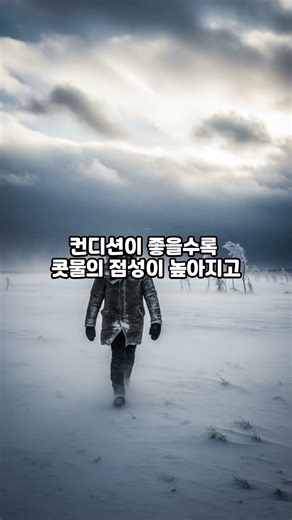 콧물 주의! 세상에서 가장 치명적인 곰 등장 #코고미 #Cubchoo
