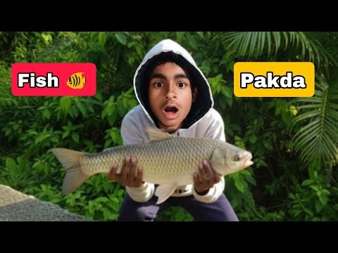 Aaj fish 🐠 pakda ❤🥰🤗 || Day-7 of vlogging ||