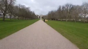 33K views · 241 reactions | Here's a quick glimpse of the route the newly married couple will take during their carriage procession through Windsor. Official Announcement: https://www.facebook.com/VisitWindsorUK/posts/2007640426125386 Information Page: https://www.windsor.gov.uk/ideas-and-inspiration/windsor-and-the-royal-wedding | Visit Windsor | Facebook