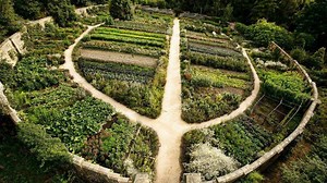 Watch the Living the Change Documentary: https://goo.gl/tQ59gZ | Sustainable Human