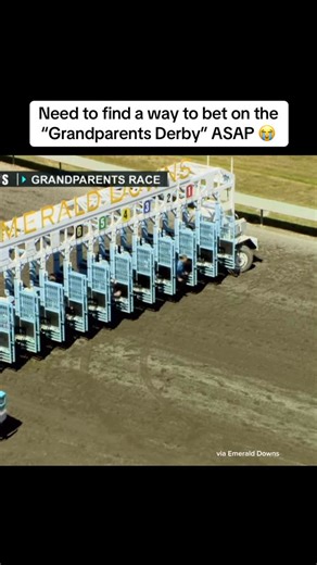 SportsLine on Instagram: "Talk about an electric race 😂 #sportsbetting #racing #horserace #betting #sports"