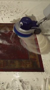 Resurrecting a Worm-Infested Carpet to New Life