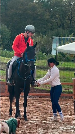 learning horse riding basics