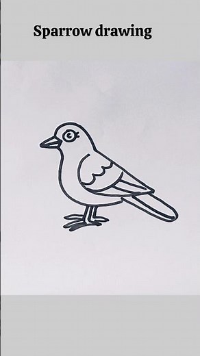how to draw a sparrow step by step #drawing #shorts