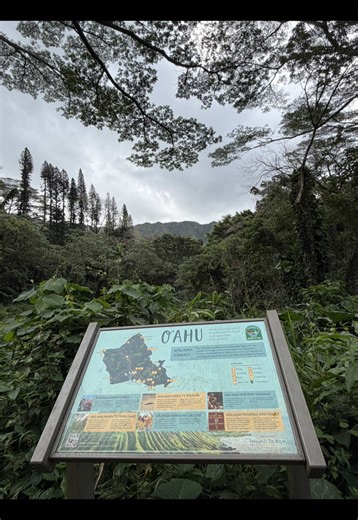 Explore Hawaii's Beautiful Hiking Trails 🌺