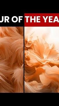 Pantone Unveils Its ‘Colour Of The Year’ For 2024 | NewsMo