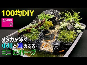 【100均DIY】メダカが泳ぐ小川と小さな滝のある【ミニ ビオトープ】の作り方 /卓上ビオトープ/メダカ水槽