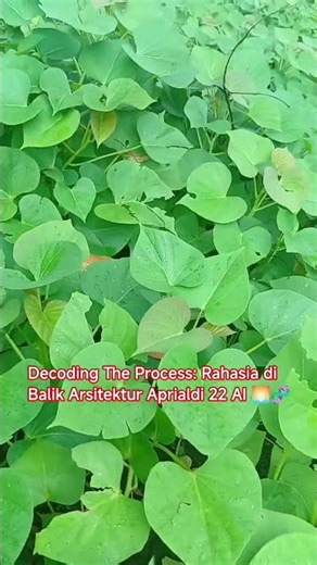 Decoding The Process: Rahasia di Balik Arsitektur Aprialdi 22 AI 🌅🧬4