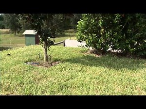 UF/IFAS Research - Irrigation Study