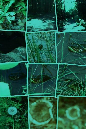 Collage 2025- Electronic beep 1 sound effect slow motion Made with Clipchamp