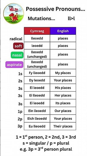 Welsh..Possessive Pronouns..mutations..ll - l #languagelearning #welsh