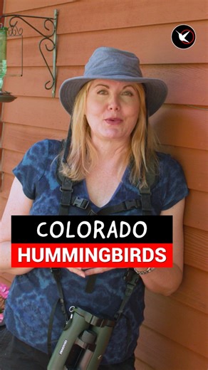 24K views · 741 reactions | Come identify hummingbirds and other birds by sight and sound with me on Saturday, August 19th, 2023 at a private residence in Lyons, Colorado. Registration opens July 29th at 8am via EventBrite linked from my website. Fourteen deck chairs available. Will you be in one of them? #birdwatching #whattodoincolorado #learnwithme #hummingbirds #coloradoliving | Birding By Ear | Facebook