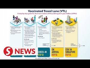 Transport Ministry announces requirements for Malaysia-Singapore air VTL