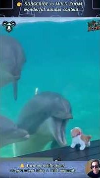 17 UNEXPECTED Wild Animal Moments You NEED to See! #animals #wildanimals