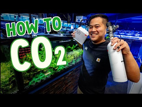 HOW TO SETUP A CO2 SYSTEM FOR YOUR AQUARIUM | ULTUM NATURE SYSTEMS | CO2ART | AQUARIUM COOP