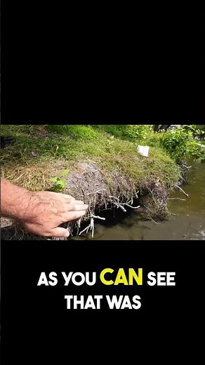 How deep are these undercut banks! Watch the full video via the on screen link #fishingvideo