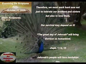 Examining the Scriptures Daily—October 11_ 2025