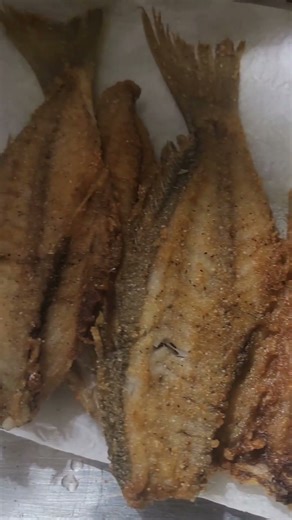 Fried Spot Fish & Homemade Cornbread 🍽️ |