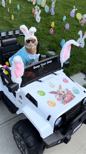 Easter Egg Hunt!!! 😻 I didn’t even need my basket, because I have a Jeep! 😹 Thanks to my friend, Toby Linvill! ❤️🐱🐰 #easter #egghunt #bunny #Jeep #fun #friends #grateful #thankyou #happycat #catsofinstagram #cat #cool #reels | Tiger JoJo