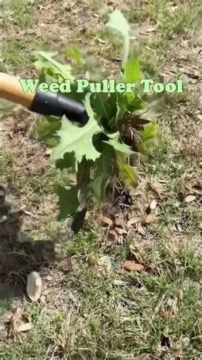 Gearova Heavy-Duty Stand Up Weed Puller Tool