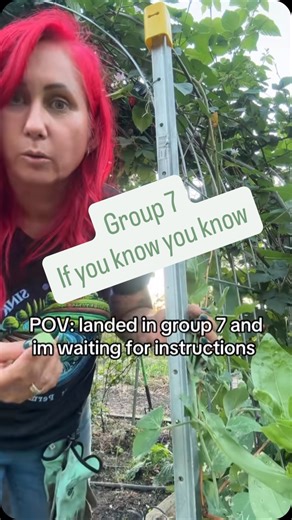 Group 7. If you know you know. I don’t need to explain. . . . #group7 #viral #permaculture #gardening #garden #permaculturegarden #eatwhatyougrow #growyourownfood #vastharvestpermaculture | Vast Harvest Permaculture