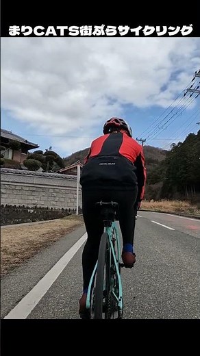 Lazy meow #roadbike #bicyclerace #cycling #pottering #bicycle #cycling #hillclimb