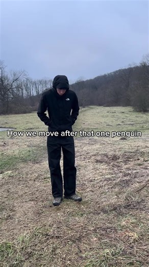 Understanding Penguin Behavior and Motivation