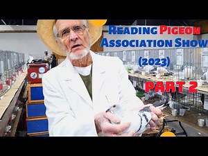 The Biggest [PIGEON SHOW] - Lancaster, PA (Part 2...)
