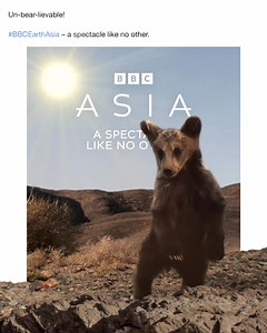 If you think you have seen the best the natural world has to offer, think again! Join Sir David Attenborough as he takes you across our planet’s largest continent, Asia. Tune in every Sunday, 7:55pm on BBC Earth. " | BBC Earth