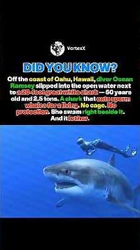 She swam beside a 20-foot GREAT WHITE SHARK #shorts