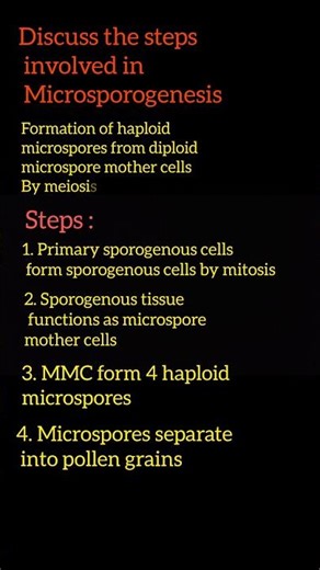 Steps involved in microsporogenesis | ‪@duraisir‬ | class 12 | sexual reproduction