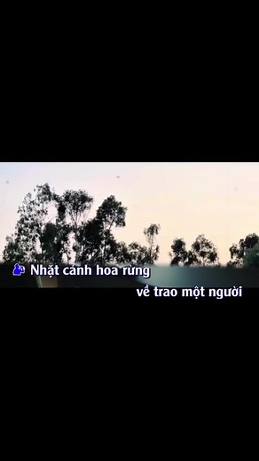 Nhặt Cánh Hoa Rừng — Cover Đan Nguyên (Nhạc Trữ Tình, Bolero)