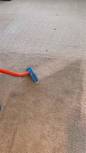 Professional Carpet Cleaning Services in Atlanta