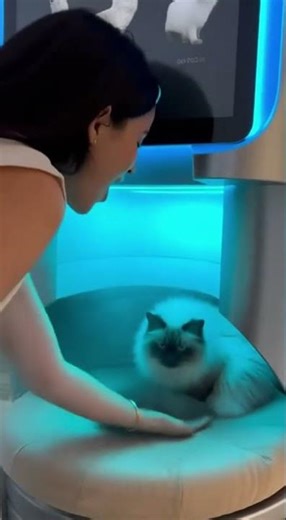 😱 Automatic Pet Grooming Station 2025 Real or AI 🫧🐈🤖#shorts #cat #subscribe #viral
