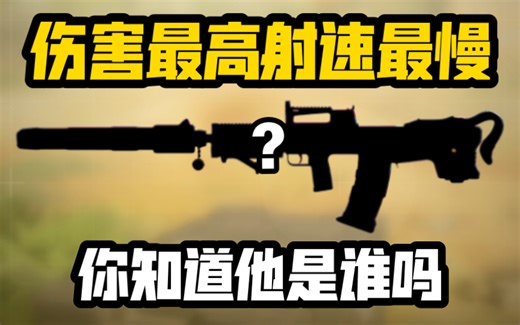 《使命召唤手游》两枪秒人逆天伤害！你确定这是步？Oden配装教学！