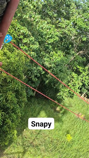 2.4K views · 53 reactions | Snapy goodluck | Kidor Kidlat | Facebook