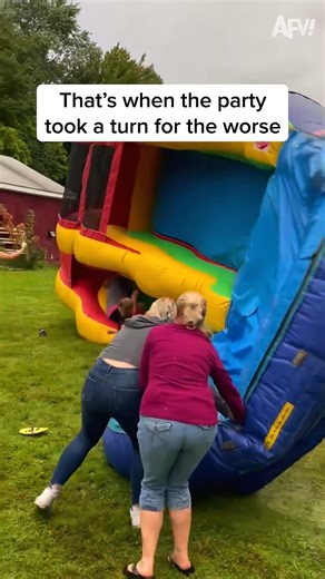 4.9M views · 9K reactions | Talk about a party foul! 藍 #afv #fail #funny | America's Funniest Home Videos | Facebook