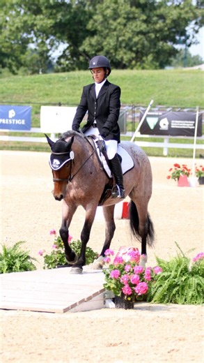 Check out these amazing mustangs sailing through the challenging working equitation course at the #2025MustangClassic! | Practical Horseman Magazine