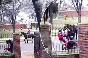 Horseback rider ambushes woman in wild midday robbery