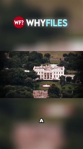 🎥 At The Why Files, we dig into the mysteries—separating 🧠 fact from 🤔 fiction while keeping you entertained! Check out TheWhyFiles.com to find more If you have tips and story ideas send the to @Wheres_Gino the producer of The Why Files ⚠️ Disclaimer: This content is for entertainment purposes only. It explores mysterious, speculative, and historical stories that are not presented as established facts. Viewer discretion is advised. #TheWhyFiles #HeckleFish #Mystery #FactOrFiction #StayCurious