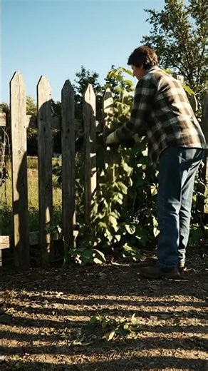 Let's explore home yard!