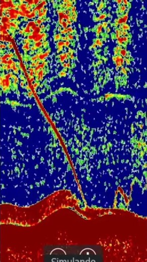 ELITE FS DE LOWRANCE #INTERPRETARSONDAPESCA #FISHFINDER #SONDAPESCA #fishing #pesca