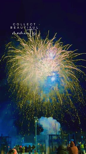 Janis (@rose7196_boston)’s videos with original sound - songs n lyrics