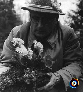 String Trio, Op. 20: II. Sehr Getragen Und Ausdrucksvoll - Zart Bewegt by Anton Webern