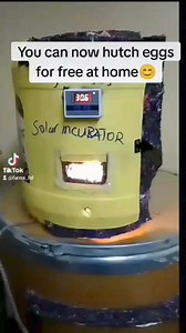 Here's our solar powered incubator. 100% DC incubator. No need of an inverter | FarmX